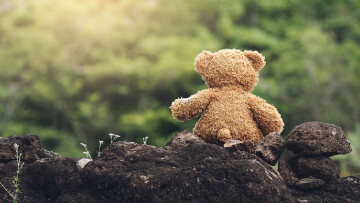 shutterstock 490439293 fb