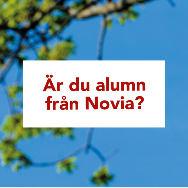 noviaalumni1 instagram