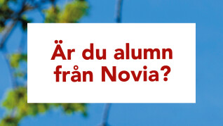 noviaalumni1 instagram