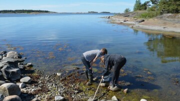 resizedimage600396 DSC 0423