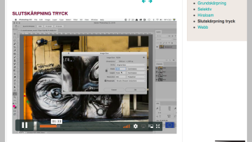 Screenshot den digitala bron