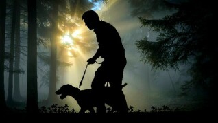 walk 2670512 340