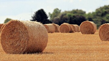 straw role 3537485 340