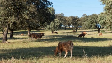 34707033512 260c778003 o