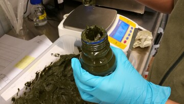 IMG 20181017 104750 1