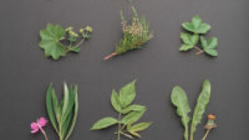 ruokakuvaus joni rahunen 5 200x300