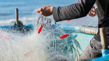 fiskare som reder ut nät 