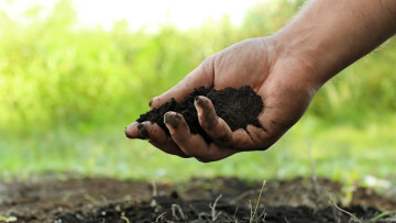 hand som håller i jord 