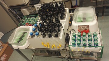 Biogasförsök och test - Andreas Willfors