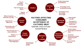 Summary Image