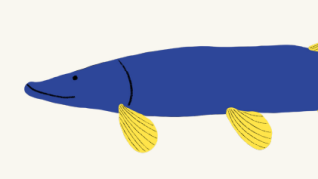 Ilustrerad fisk