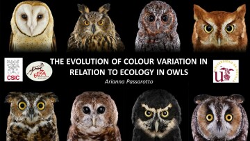 87515354 2949297521789269 895065738467868672 o