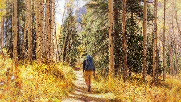 Man som vandrar på en stig i höstigt skogslandskap