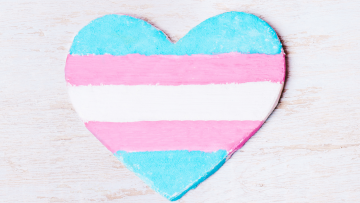 ITDV Heart and Transgender Pride Flag