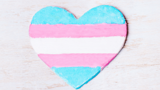 ITDV Heart and Transgender Pride Flag