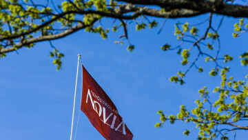 LL 20130523 novia 3973