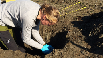 MicrosoftTeams image 5