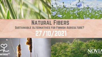 Natural Fibers