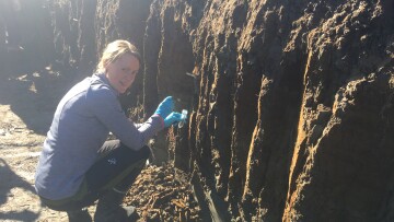 Eva Hogfors Ronnholm Precikem 002