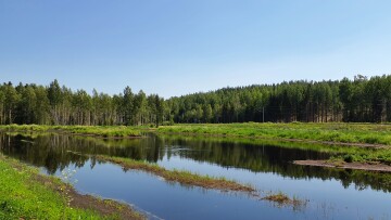 Våtmarker_Katarina Feliciano