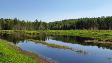 Våtmarker_Katarina Feliciano