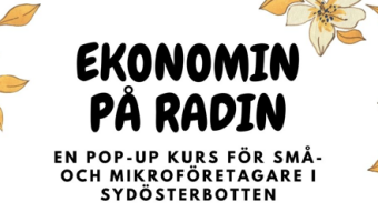 evenemangsbild ekonomin på radin