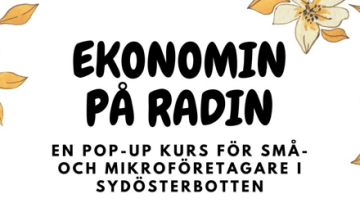 evenemangsbild ekonomin på radin