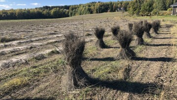 Niipala gard Spanadslin