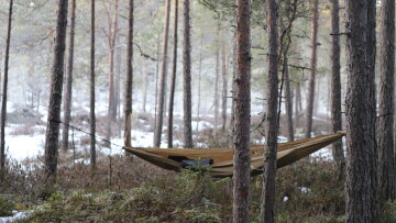 hängmatta i skog. Foto: Sara Kåll-Fröjdö/Centria