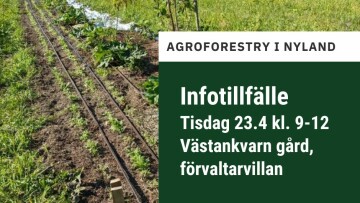 Agorforestry i Nyland, infotillfälle 23.4