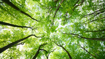 AdobeStock 159666505 1