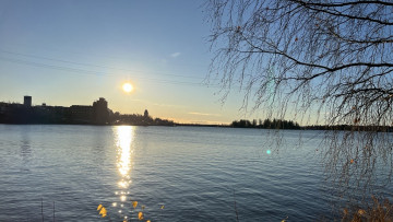 Sodra stadsfjarden i Vasa med trad i förgrunde. Foto CL