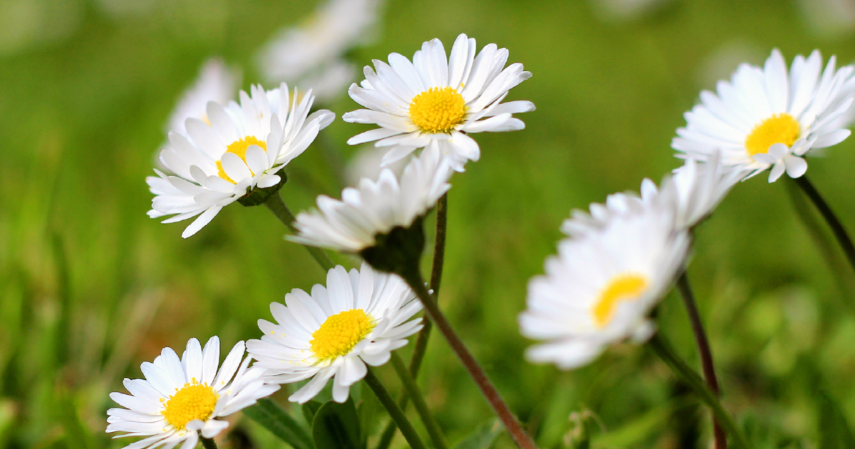 Pornstar filmlar onlayn Stariy Oskoldagi seksolog