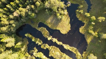 Biodiversitet AurelieNoel