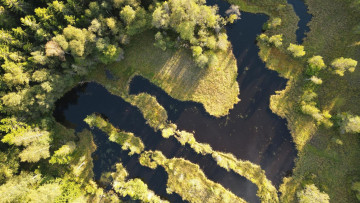 Biodiversitet AurelieNoel