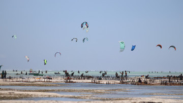 IMG 6990