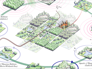 2 Conceptual Background.Thumbnail