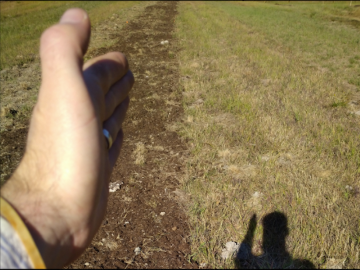 5 Alternative Choices.Thumbnail