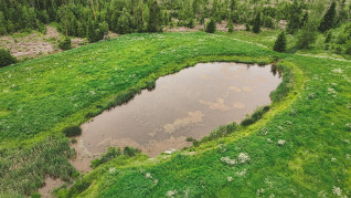 DJI 20250616195213 0179 D