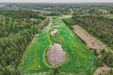 DJI 20250616195254 0181 D