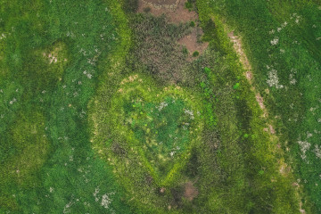 DJI 20250616195435 0189 D