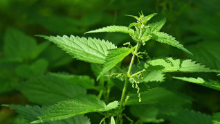 AdobeStock 377631801