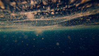 AdobeStock 139188357