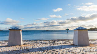 AdobeStock 195030288