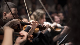 pexels violins 1838390 1920