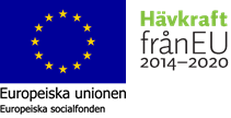 Europeiska socialfonden ESF