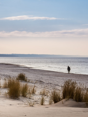 AdobeStock 133086505