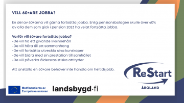 1 Vill 60+are jobba