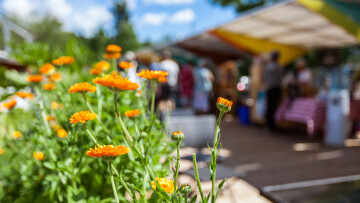 marknad, blommor i förgrunden