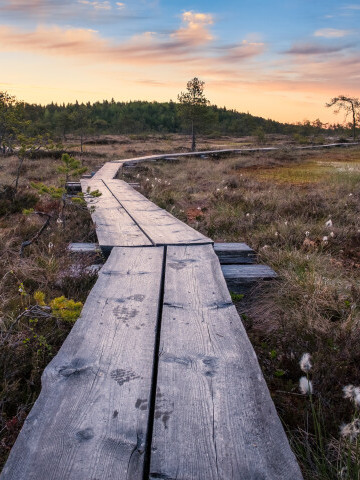 Myr Torronsuo National park